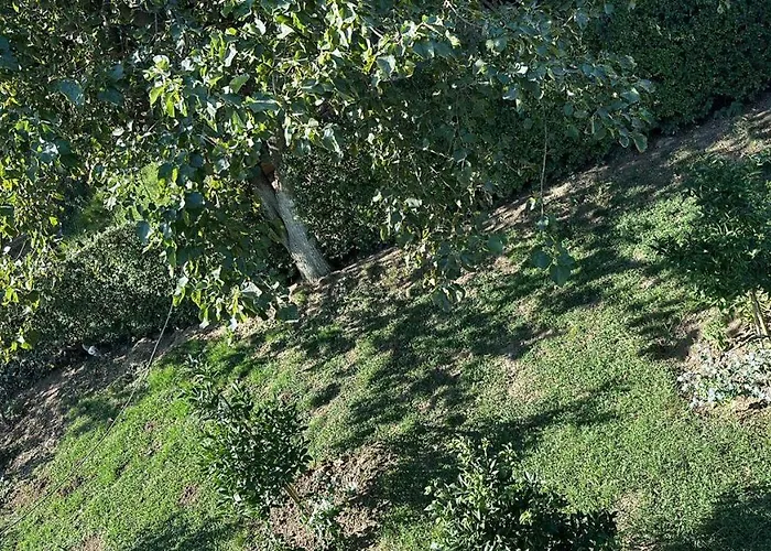 The Garden 度假居 地拉那